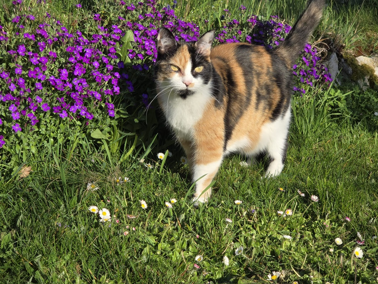 Mogli & Nala meine kleinen Gäste
