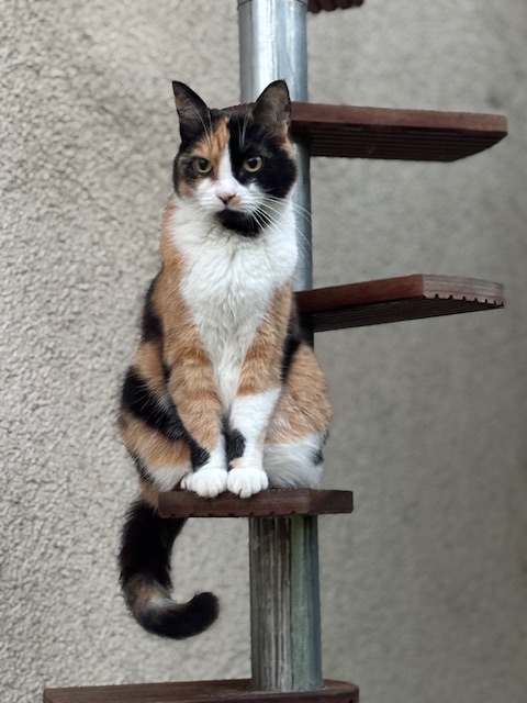 Mogli & Nala meine kleinen Gäste