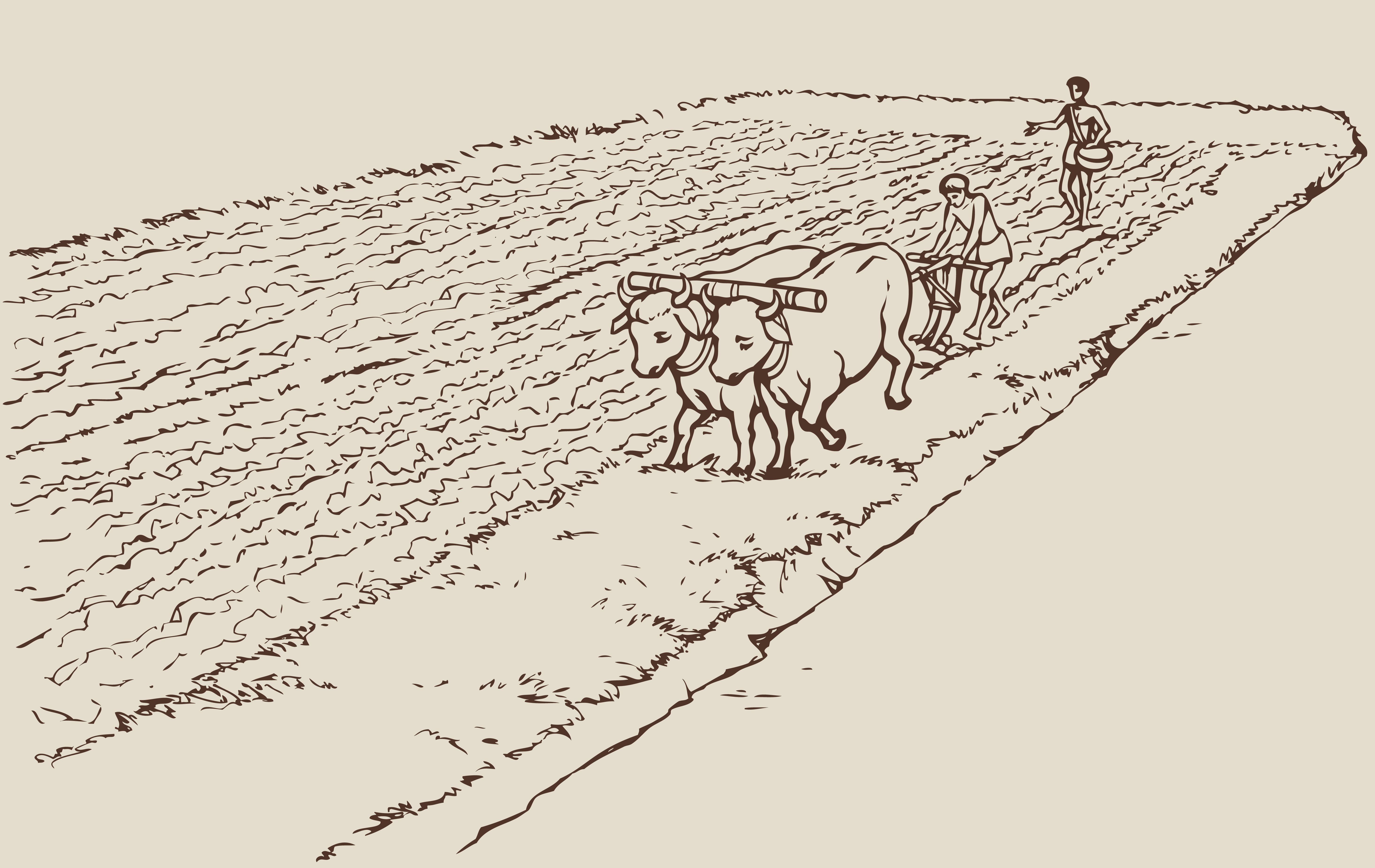 Auf den Spuren der Ernährung des Hundes