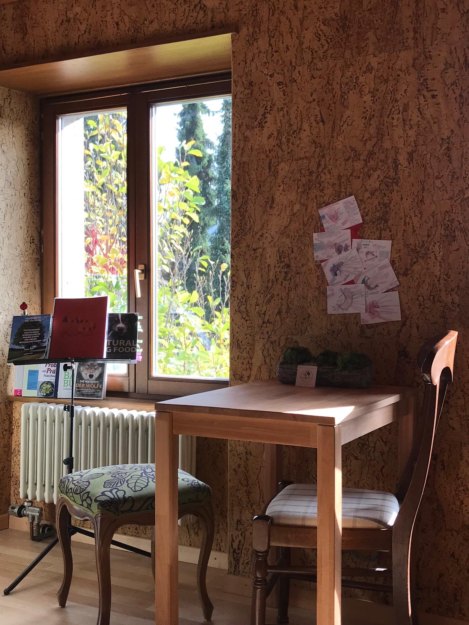 Ernährungsberatung für Katze und Hund